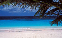 Pink Beach Horizontal