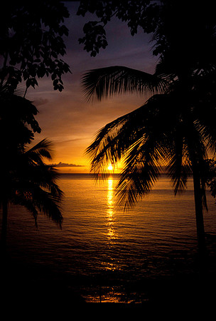 Beautiful Days End