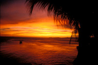 Firesky Sunset