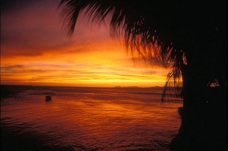 Firesky Sunset