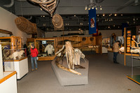 Morris Thompson Cultural & Visitors Center