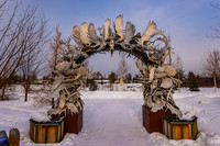Moose Antler Arch