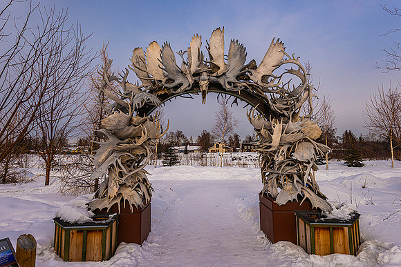 Moose Antler Arch