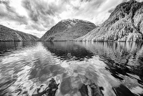 Late Afternoon Relections