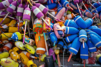 Lobster Buoy's Galore