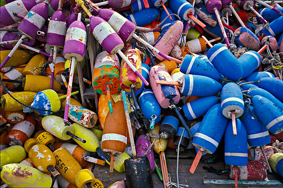 Lobster Buoy's Galore