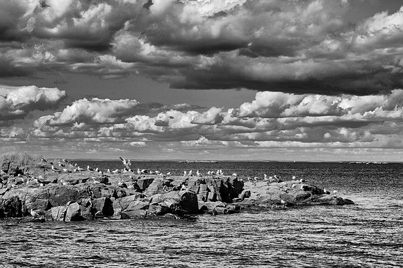 Monhegan Island Point