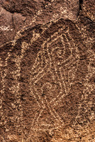 Fish Petroglyph