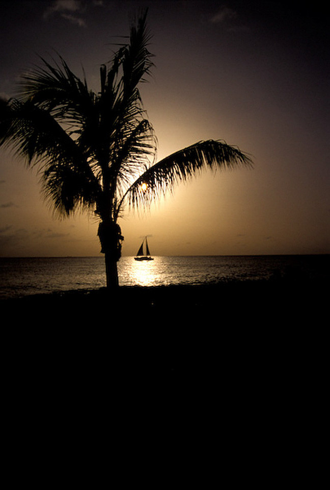 Sailing Silhouette