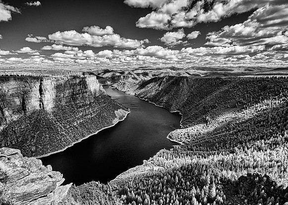 No Color Needed--Infrared 1