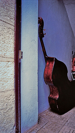 Backdoor Bass