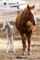 Mom and Newborn