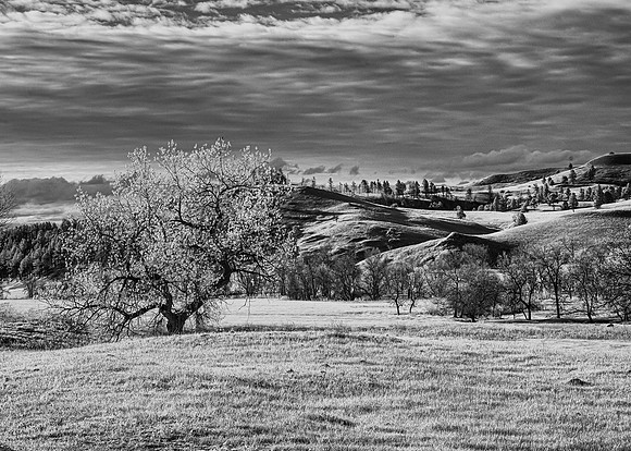 Scenic Landscape
