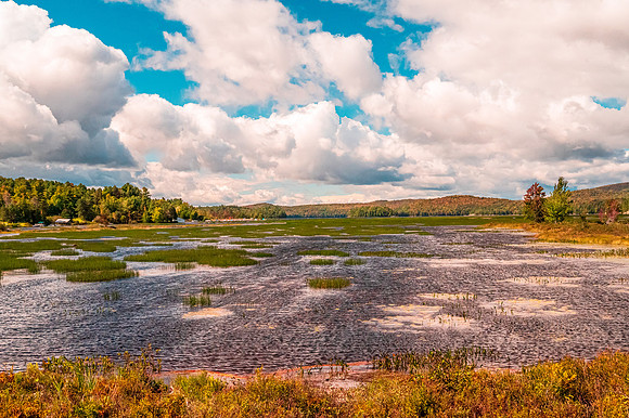 Tupper Lake Marsh