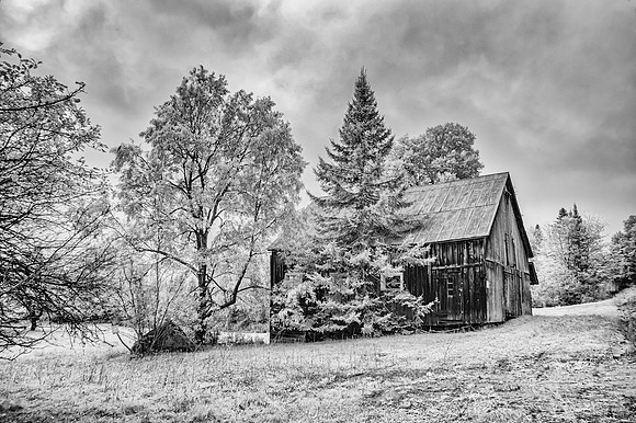 Rustic Beauty
