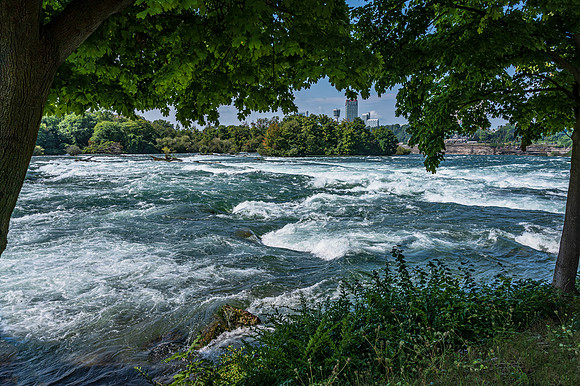 American Rapids