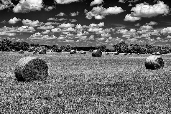 Hay & Clouds Copycats