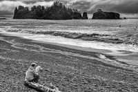 Susan & Riley Surf Watching