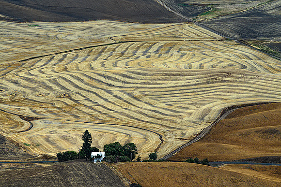 Agri Art 8