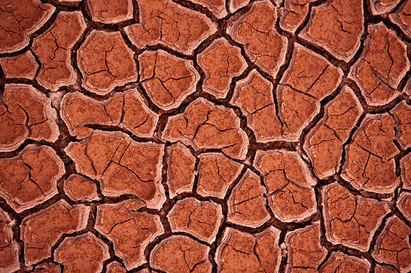 Dried Cracked Desert