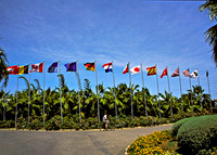 International Flag Display