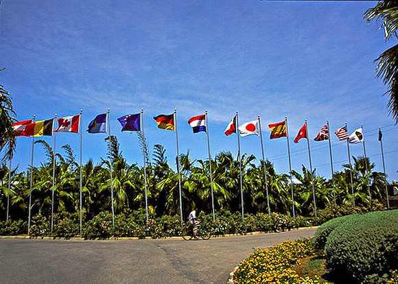International Flag Display