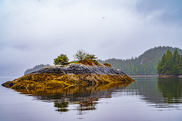Rock Island in the Mist