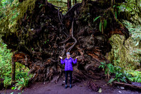 Susan at Giant Root Ball