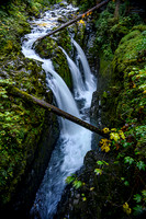 Sol Duc Falls