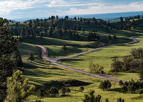 Wildlife Loop Drive