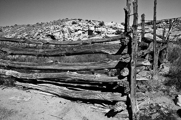 Homestead Fence