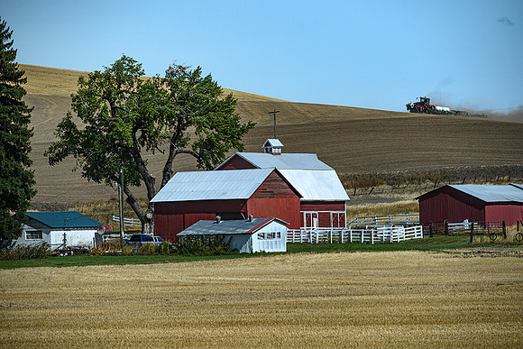 Agri Artist at Work
