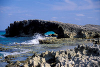 Cozumel Coast