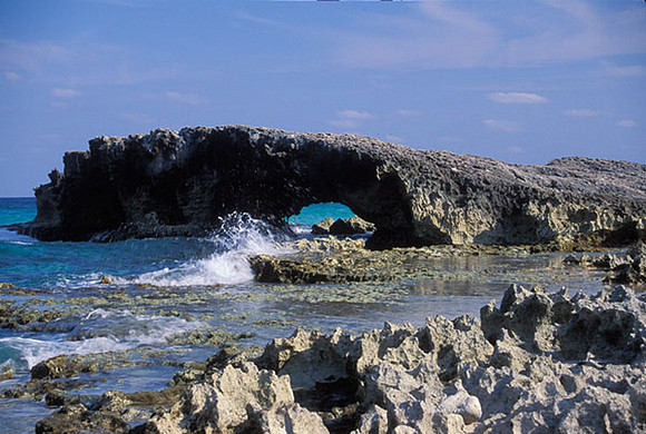 Cozumel Coast