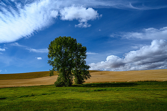 Farmland Beauty