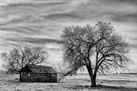 Historic Cabin