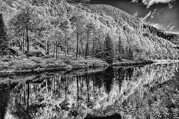 Ausable River Forest Reflection