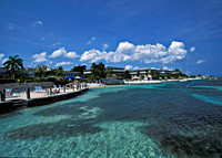 Bayfront beauty