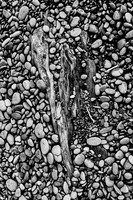 Polished Rocks & Driftwood