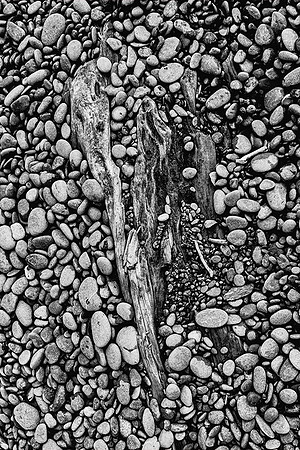 Polished Rocks & Driftwood