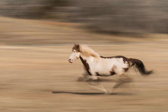 On the run!