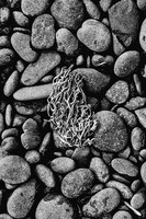 Rock Beach Closeup