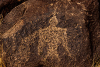 Thunderbird Petroglyph
