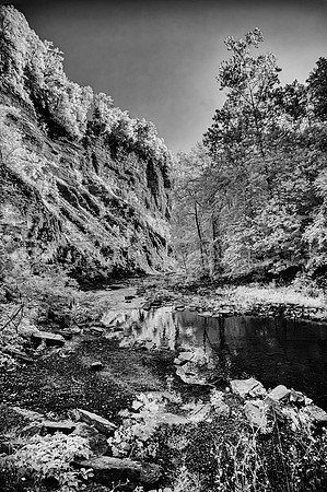 Taughannock Creek Canyon