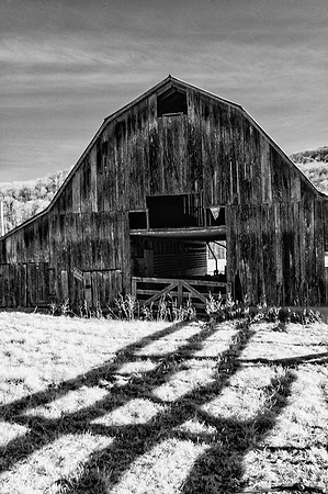Barn & Shadows