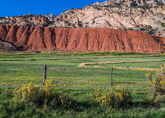 Unique Field Formation