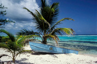 Caribbean Collage