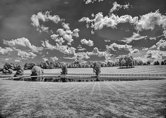 WinStar Farms Landscape