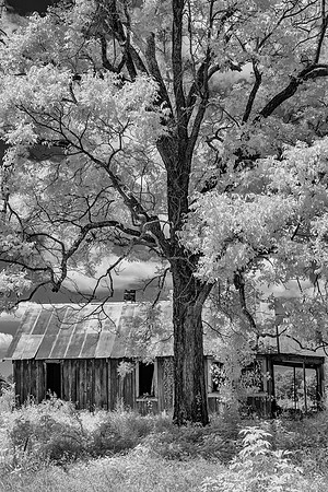 Homeplace Past