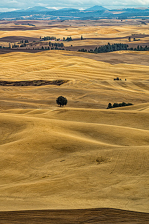From Fields to Mountains